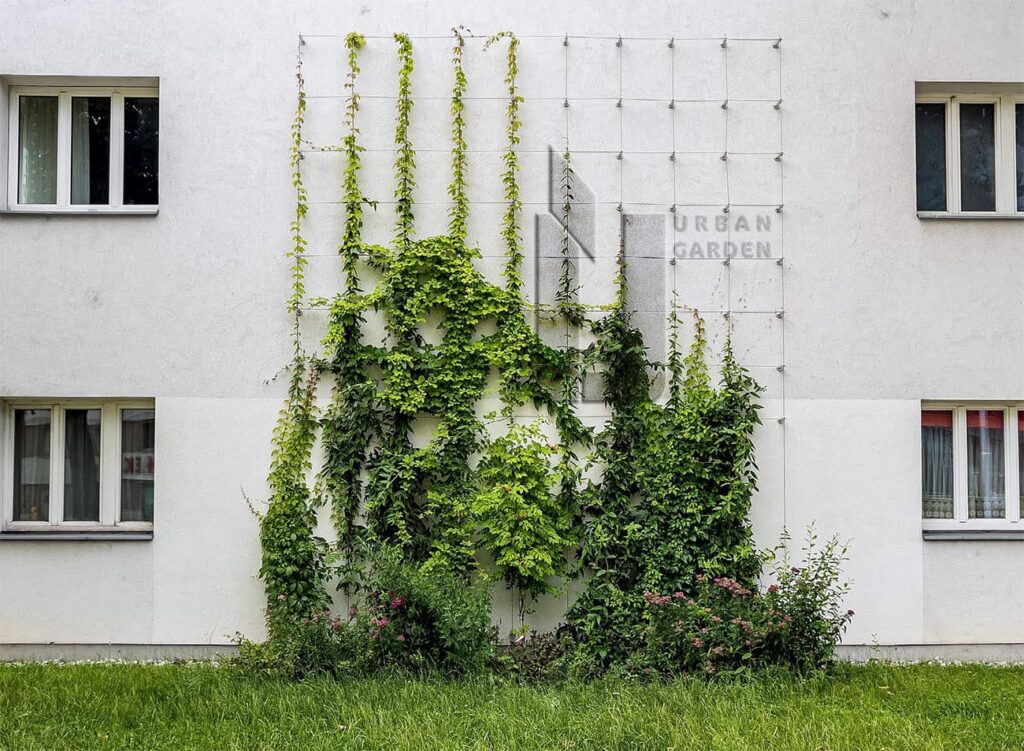 Urban Garden / Vertikales Gärtnern. Urban Garden, auch urbaner Gartenbau genannt, bezeichnet die Nutzung von städtischen Flächen für den Gartenbau und zum Anlegen von Grünflächen.