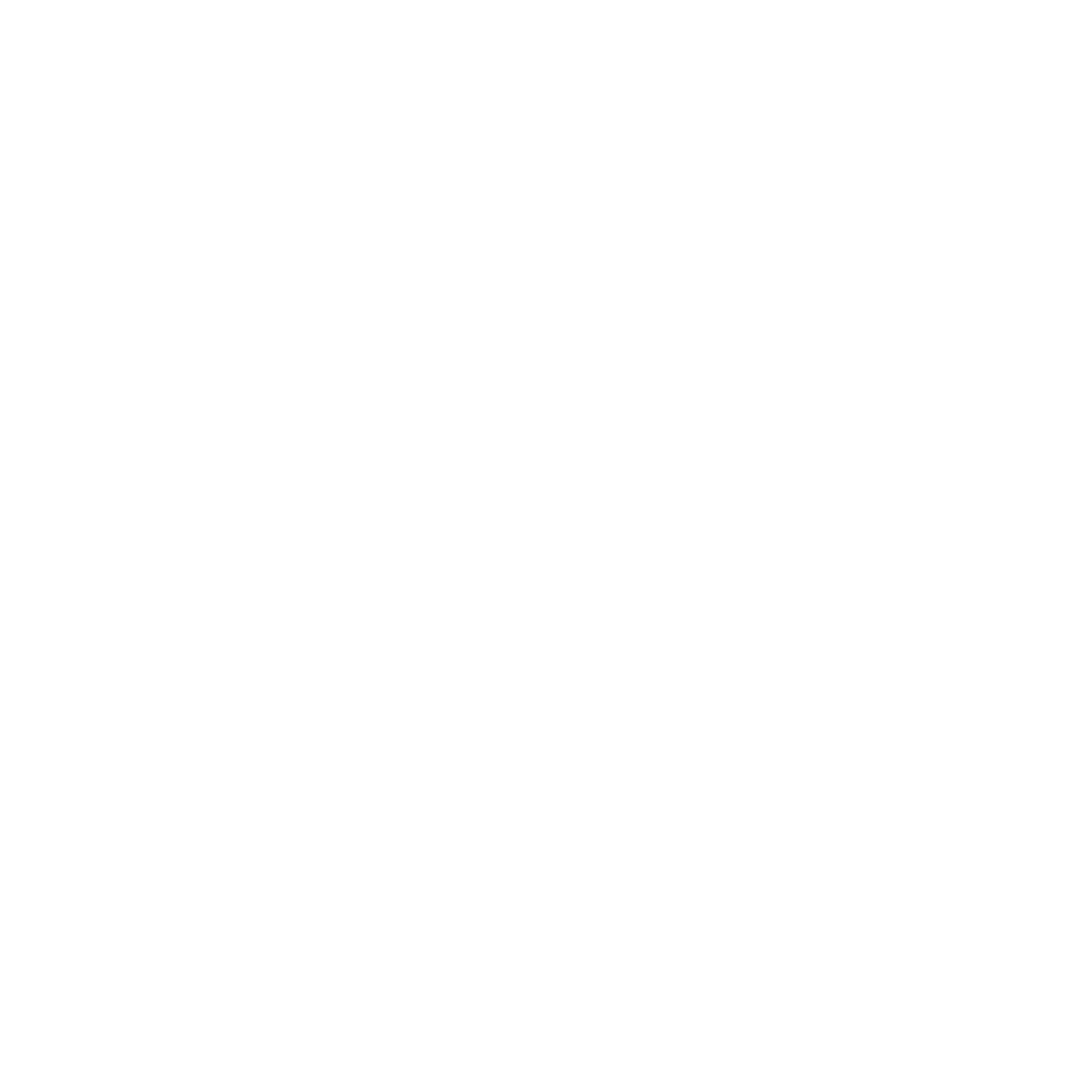 Webshop Icon