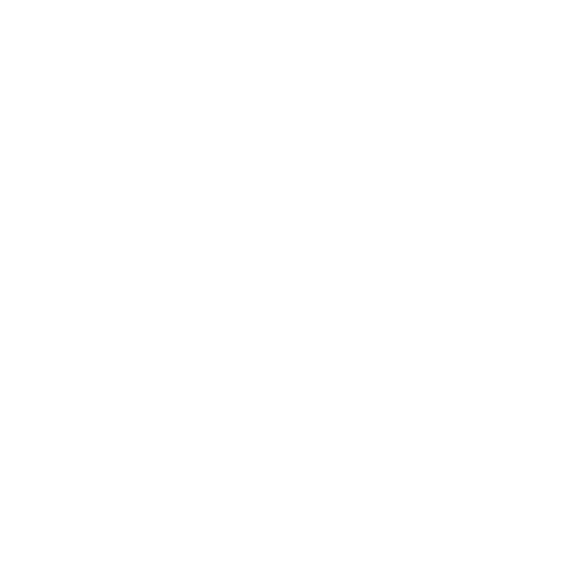 Anmeldung Icon
